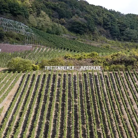 Gaestehaus Moselkloster Prázdninový dům