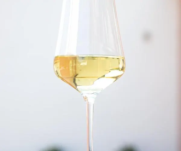 Dom wakacyjny Gaestehaus Moselkloster