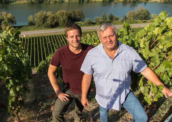 Gaestehaus Moselkloster Trittenheim