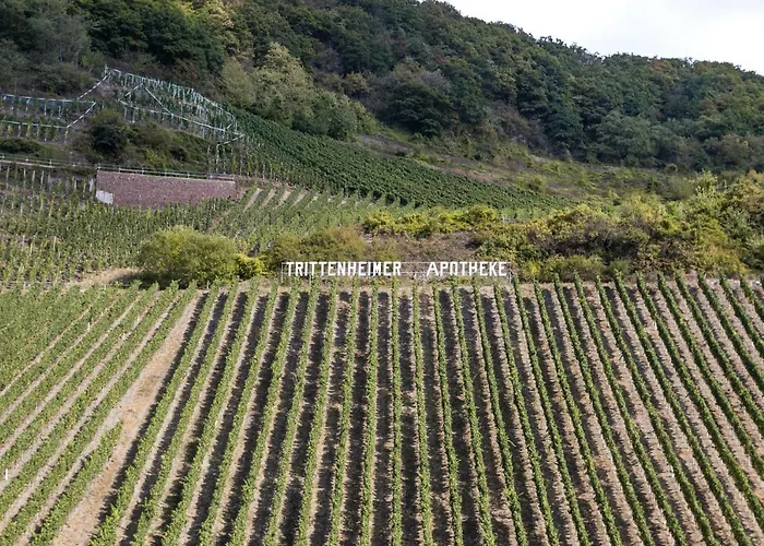 Gaestehaus Moselkloster Casa de Férias